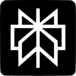 Perplexity AI tool icon